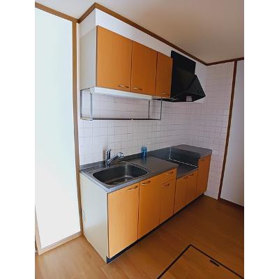 ラグーナ 101【管理NO：1-010555301-01010】 ★家具家電は申し込み後に搬入します 2026年07月中旬入居可能の物件画像