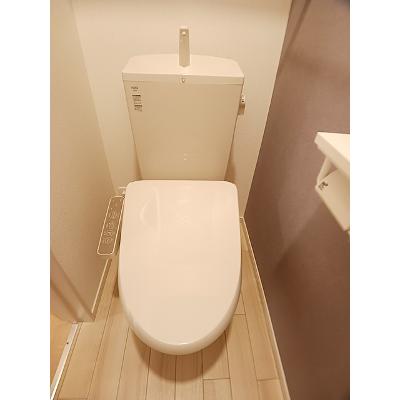 エレガンテ　カーサ 103【管理NO：1-024734101-01030】 ★家具家電は申し込み後に搬入します★の物件画像