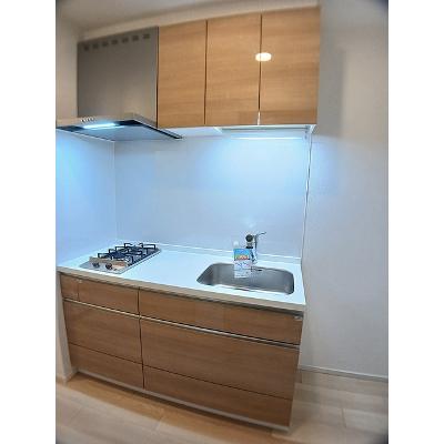 レイル　ヤード　中山　Ⅱ 301【管理NO：1-027084002-03010】 ★家具家電は申し込み後に搬入します★の物件画像