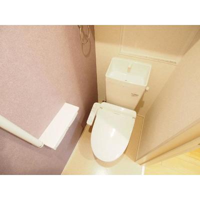 メゾンド・プチ・フルールⅦ 203【管理NO：1-024429501-02030】 ★家具家電は申し込み後に搬入します★の物件画像
