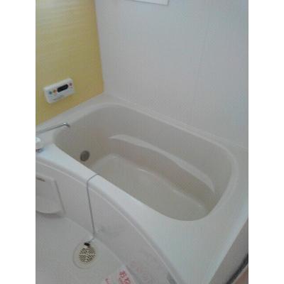 ベル・フィオーレ 205【管理NO：1-017613301-02040】 ★家具家電は申し込み後に搬入します 2026年07月中旬入居可能の物件画像