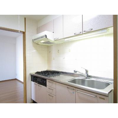 リバーシャトー 302【管理NO：1-010047701-03020】 ★家具家電は申し込み後に搬入します★ ★2026年08月中旬入居可能★の物件画像