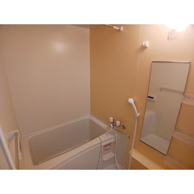 シャイニスター 302【管理NO：1-015434301-03020】 ★家具家電は申し込み後に搬入します★の物件画像