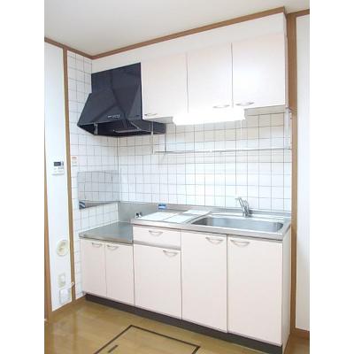 パレス　メリディアンＡ 101【管理NO：1-010446801-01010】 ★家具家電は申し込み後に搬入しますの物件画像