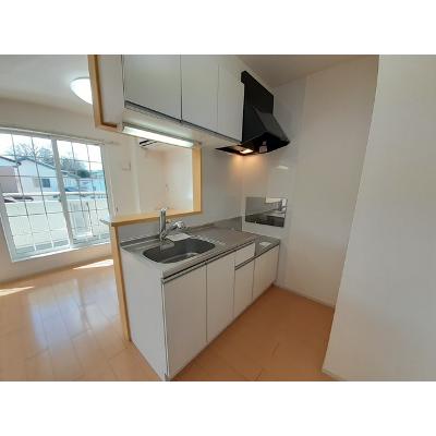 カーサ・ラッフィナート 202【管理NO：1-017406401-02020】 ★家具家電は申し込み後に搬入します★の物件画像