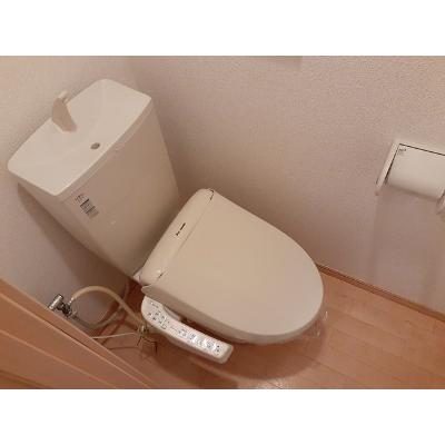 トーク鷹の羽Ⅲ 104【管理NO：1-019336901-01040】 ★家具家電は申し込み後に搬入します 2026年08月中旬入居可能の物件画像