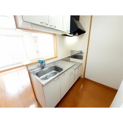 クロス　マウンテン 203【管理NO：1-014135801-02030】 ★家具家電は申し込み後に搬入します 2026年08月中旬入居可能の物件画像
