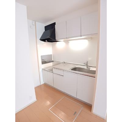 カーサパイン 103【管理NO：1-017863201-01030】 ★家具家電は申し込み後に搬入します★の物件画像