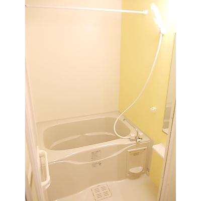 ベルシャトレ 202【管理NO：1-019294701-02020】 ★家具家電は申し込み後に搬入します 2026年08月中旬入居可能の物件画像