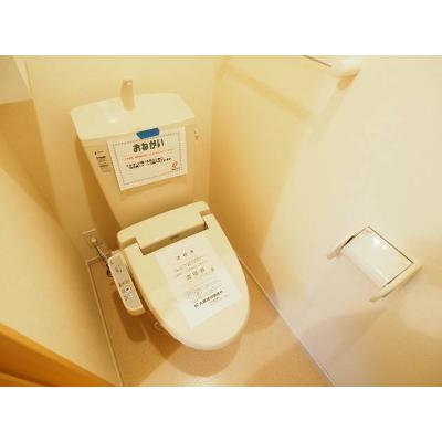 ＧＲＡＣＥ　ＣＯＵＲＴ 206【管理NO：1-018595001-02050】 ★家具家電は申し込み後に搬入します★の物件画像