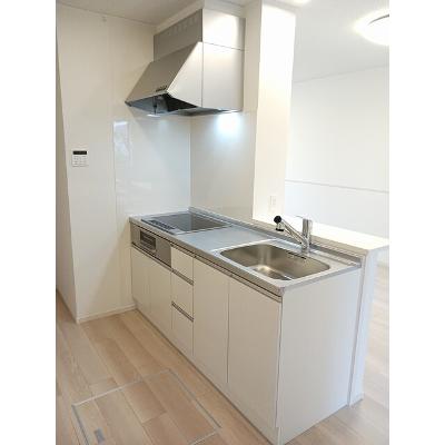 アルタイル８６７ 101【管理NO：1-027933601-01010】 ★家具家電は申し込み後に搬入します★の物件画像