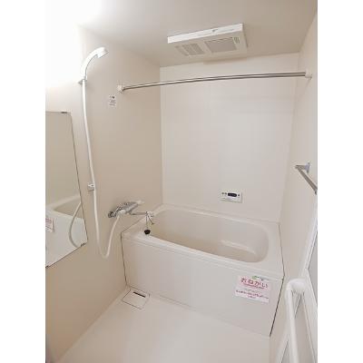 サン　ビオラ 303【管理NO：1-014000201-03030】 ★家具家電は申し込み後に搬入します 2026年08月下旬入居可能の物件画像