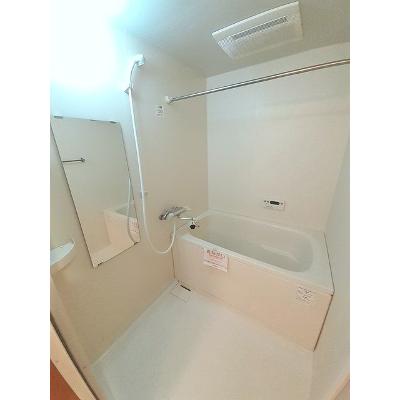 サン　ビオラ 301【管理NO：1-014000201-03010】 ★家具家電は申し込み後に搬入します 2026年08月下旬入居可能の物件画像