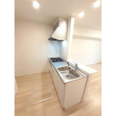 ピーゴＡ 102【管理NO：1-026692101-01020】 ★家具家電は申し込み後に搬入します★の物件画像