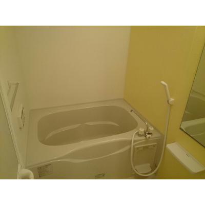 シャンドエトワールⅡ 102【管理NO：1-016448002-01020】 ★家具家電は申し込み後に搬入します★の物件画像