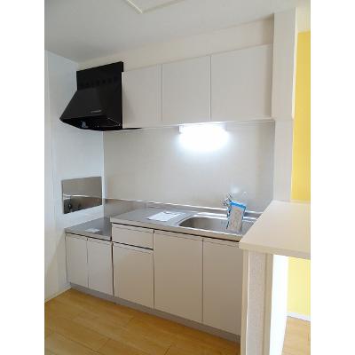 カーネーション 203【管理NO：1-022997001-02030】 ★家具家電は申し込み後に搬入します 2026年08月下旬入居可能の物件画像