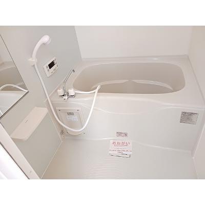 ツールマレーⅠ 103【管理NO：1-015023501-01030】 ★家具家電は申し込み後に搬入します★ ★2026年08月中旬入居可能★の物件画像