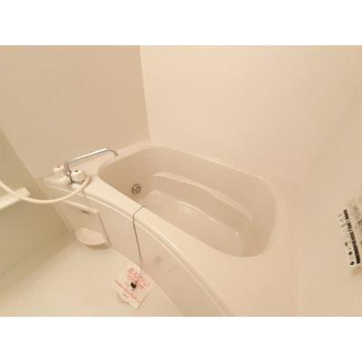 フィオーレ 105【管理NO：1-013633401-01040】 ★家具家電は申し込み後に搬入します 2026年07月中旬入居可能の物件画像