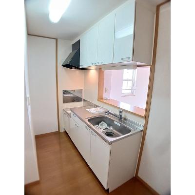 メゾン　コリーヌⅢ 205【管理NO：1-013439202-02040】 ★家具家電は申し込み後に搬入します★の物件画像