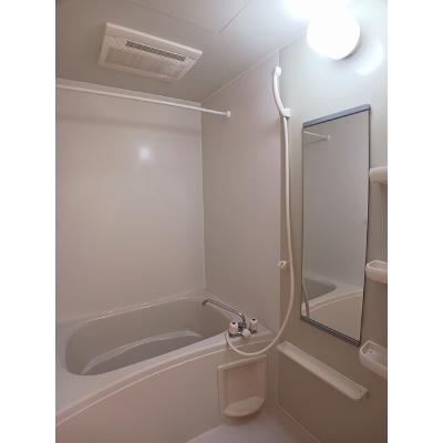 アヴァンシアＭ 303【管理NO：1-012362001-03030】 ★家具家電は申し込み後に搬入します★の物件画像