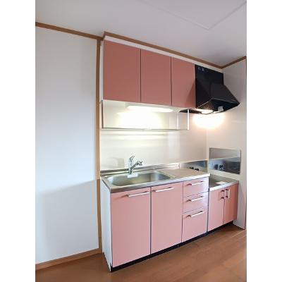 リバーコート　Ｄ 202【管理NO：1-013346904-02020】 ★家具家電は申し込み後に搬入します 2026年07月下旬入居可能の物件画像