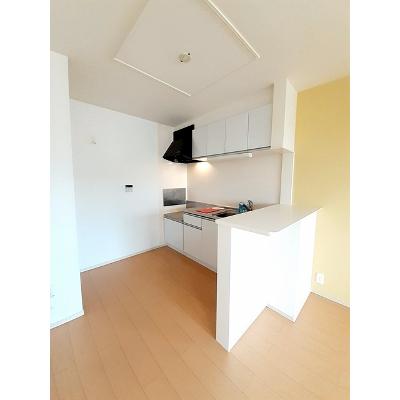 ライズピークＢ 203【管理NO：1-019103302-02030】 ★家具家電は申し込み後に搬入します★ ★2026年08月下旬入居可能★の物件画像