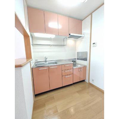 ラフィーネ壱番館 203【管理NO：1-013058701-02030】 ★家具家電は申し込み後に搬入します 2026年08月上旬入居可能の物件画像