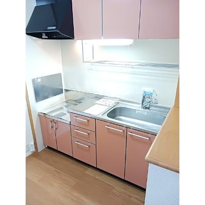 アブニールⅩⅣ 202【管理NO：1-011888301-02020】 ★家具家電は申し込み後に搬入します★の物件画像