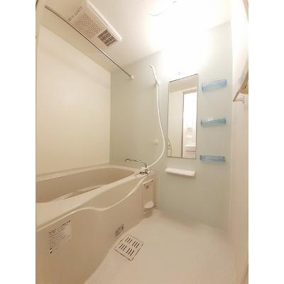 フォルトゥーナ・Ｍ 202【管理NO：1-017185901-02020】 ★家具家電は申し込み後に搬入します 2026年08月中旬入居可能の物件画像