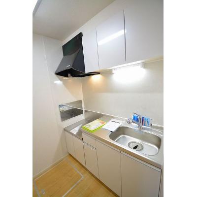 ラフィーネ福生 102【管理NO：1-022884801-01020】 ★家具家電は申し込み後に搬入します 2026年08月上旬入居可能の物件画像