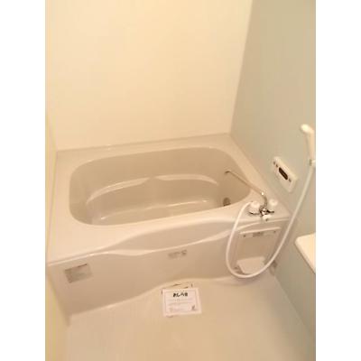 ロマネクスⅡ 201【管理NO：1-015275101-02010】 ★家具家電は申し込み後に搬入します★ ★2026年09月上旬入居可能★の物件画像