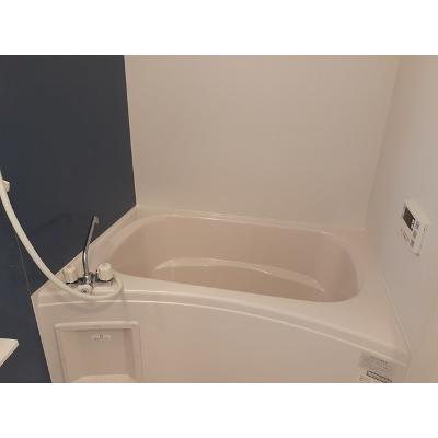サンタ・ピーク 101【管理NO：1-019796901-01010】 ★家具家電は申し込み後に搬入します 2026年08月上旬入居可能の物件画像