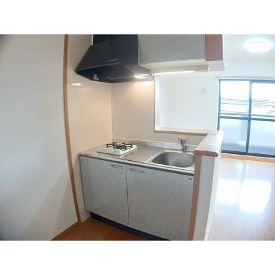 プラム　リッツ 203【管理NO：1-013621901-02030】 ★家具家電は申し込み後に搬入します 2026年08月下旬入居可能の物件画像