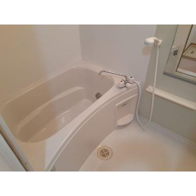 セトルⅢ 203【管理NO：1-012883503-02030】 ★家具家電は申し込み後に搬入します 2026年09月中旬入居可能の物件画像