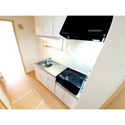 エヴァーグリーンＰ 101【管理NO：1-017724101-01010】 ★家具家電は申し込み後に搬入します★の物件画像