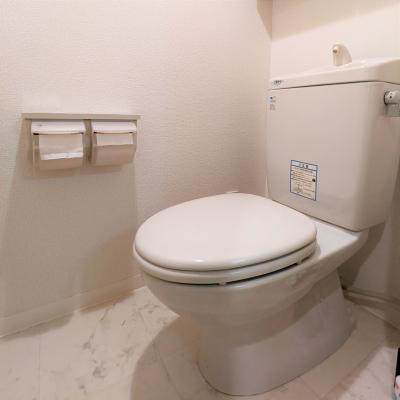 🌈初めてのマンスリー利用でも安心の充実設備【ネット無料/浴室乾燥機付き】プレサンスセンターコア大阪🚭［C.1491130］の物件画像