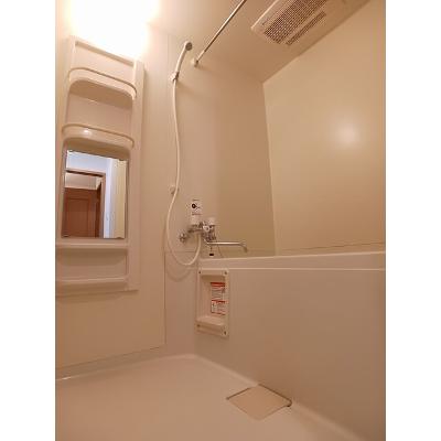 フォレストウィズダム 203【管理NO：1-014300901-02030】 ★家具家電は申し込み後に搬入します★ ★2026年10月下旬入居可能★の物件画像