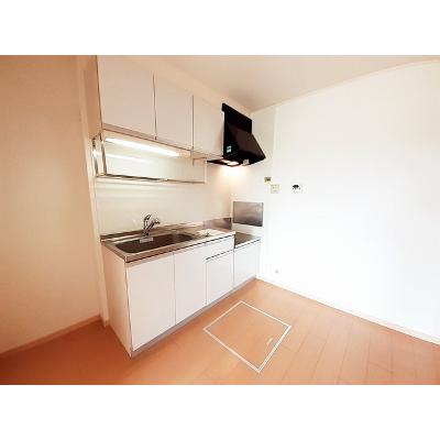 ビッグ　シャトーＢ 104【管理NO：1-015204702-01040】 ★家具家電は申し込み後に搬入します★ ★2026年09月中旬入居可能★の物件画像