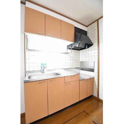 サンライズ 102【管理NO：1-010782701-01020】 ★家具家電は申し込み後に搬入します★の物件画像