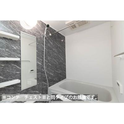 パインズ　グレイス－Ｖ 205【管理NO：1-028632401-02050】 ★家具家電は申し込み後に搬入します★ ★2027年03月上旬入居可能★の物件画像