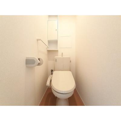 ニューシティ下堀Ⅱ 203【管理NO：1-018057201-02030】 ★家具家電は申し込み後に搬入します 2026年08月中旬入居可能の物件画像