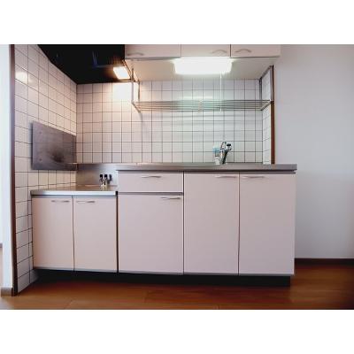 フェアリー・テイル 201【管理NO：1-011637801-02010】 ★家具家電は申し込み後に搬入しますの物件画像