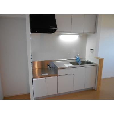 アムール　リアン 202【管理NO：1-017399301-02020】 ★家具家電は申し込み後に搬入します 2026年09月中旬入居可能の物件画像