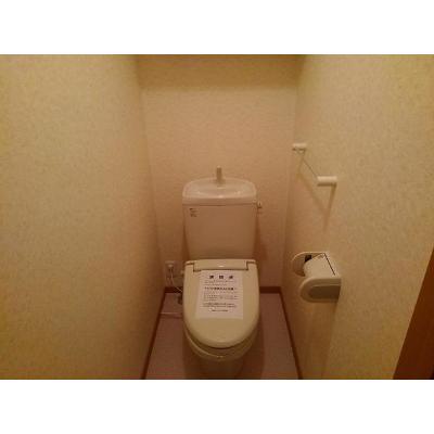 アメニティカスガⅤ 103【管理NO：1-013272701-01030】 ★家具家電は申し込み後に搬入します 2026年08月中旬入居可能の物件画像