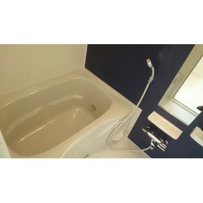 ストレリチア 103【管理NO：1-022542601-01030】 ★家具家電は申し込み後に搬入します 2026年08月下旬入居可能の物件画像