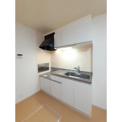 スターリースカイ 101【管理NO：1-020155201-01010】 ★家具家電は申し込み後に搬入します★の物件画像