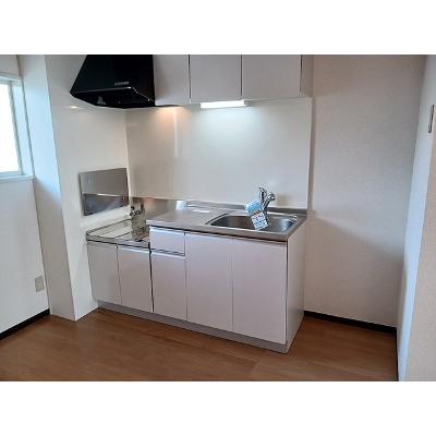 アネックストーコー 105【管理NO：1-005149901-01050】 ★家具家電は申し込み後に搬入します★の物件画像