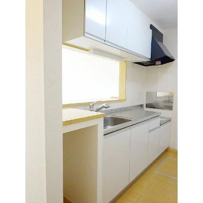 レインツリー　二番館 103【管理NO：1-016569001-01030】 ★家具家電は申し込み後に搬入します 2026年08月上旬入居可能の物件画像