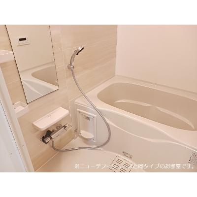 ソフィアツー 206【管理NO：1-028444801-02060】 ★家具家電は申し込み後に搬入します 2027年01月下旬入居可能の物件画像