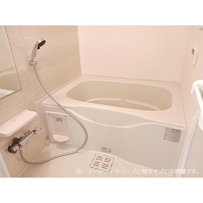 ソフィアツー 104【管理NO：1-028444801-01040】 ★家具家電は申し込み後に搬入します★ ★2027年01月下旬入居可能★の物件画像